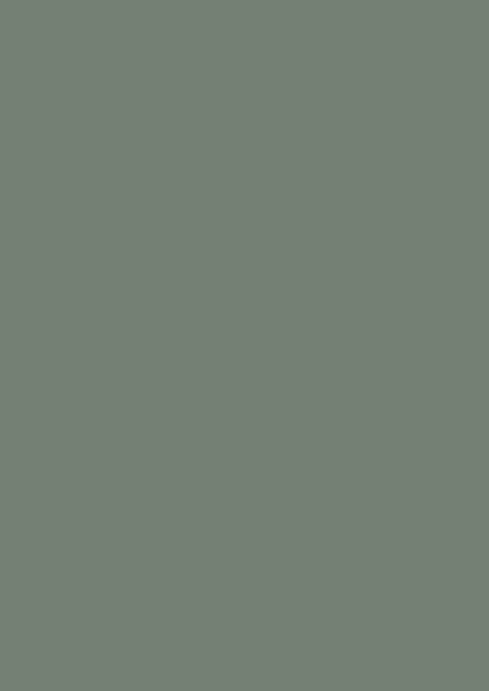 EGGER Reed Green – U604 ST9