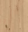 EGGER Natural Wild Oak – H1318 ST10